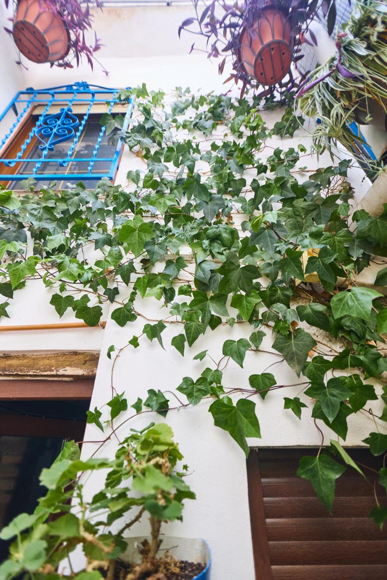 Casa El "Tablao De Las Almendras" Гранада Екстер'єр фото
